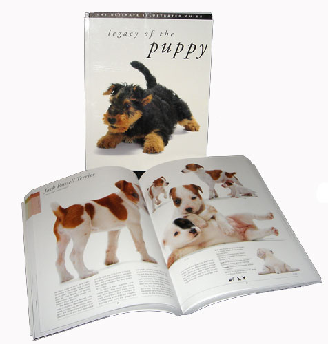 bkpuppy_lg